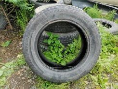 Bridgestone Blizzak MZ-03. �����������, �/�, ����� 30�%
