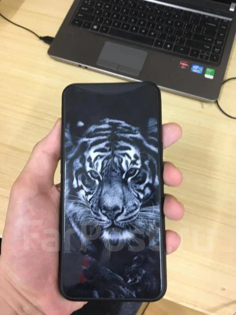 OPPO Find X. �/�, �����, 3G, 4G LTE, Dual-SIM ����