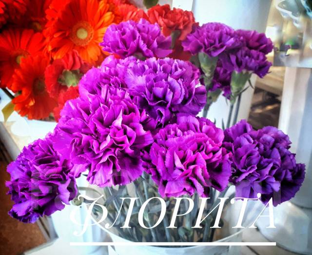 Гвоздика, новый, в наличии. Цена: 120? во Владивостоке