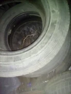 Falken Espia EP01. �����������, �/�, ����� 70�%