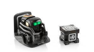 anki home