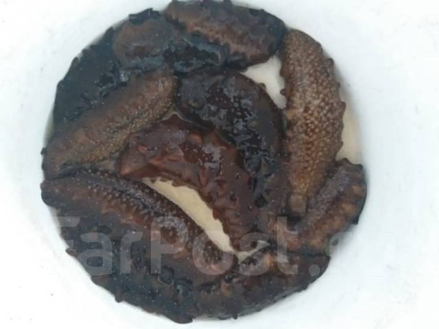 Трепанг на меду - Рыба и морепродукты во Владивостоке