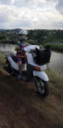 Honda Topic. 49����. ��., ��������, ���, � �������� ����
