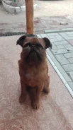 �������. ����