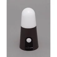 �����������. ����