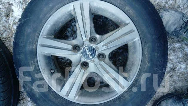Extreme Shina. x14" ����