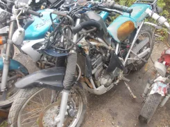 Kawasaki KLE 250 ����