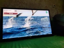LG 42PA4510. ������ ����