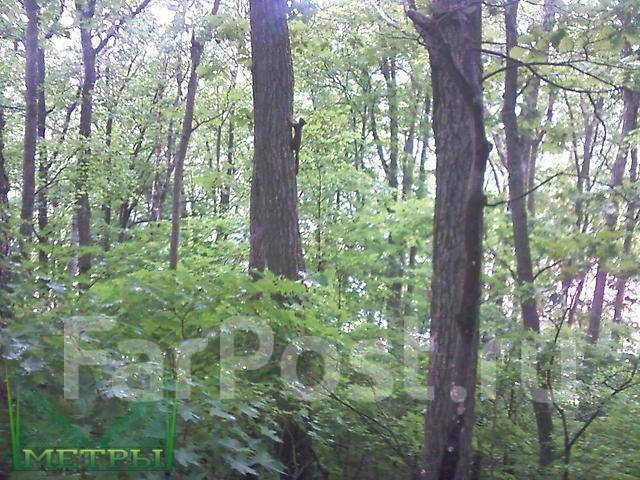 Андреевка владивосток домики. Семь футов ул. Володарского 25 владивосток. Володарского 25 владивосток. Фото школы,с.