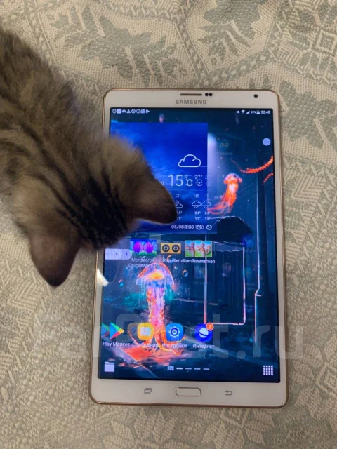 Samsung Galaxy Tab S 8.4 ����