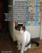 �����. ����