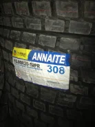 Annaite 308. �����������, 2022 ���, ����� ����