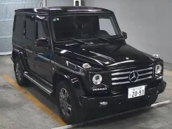 Mercedes-Benz G-Class. �������, 4wd, 5.5, ������, 49 000����. ��, �/�. ��� ����� �� ������� ����