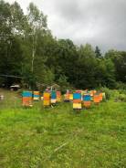 В Наличии Продам в розницу мёд под в Хабаровске Мед, медовые продукты.