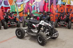 Bot Renegade 1100E. ��������, ��� ���\���, ��� �������. ��� ����� �� ������������� ����