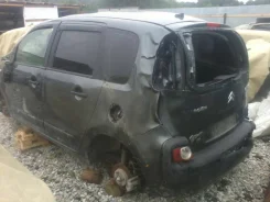 Citroen C3 Picasso ����