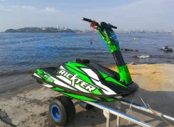 Rickter. 2017 ��� ����