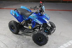 Bot GT EL1000. ��� ����� �� ������ ����