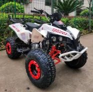 Bot Renegade 125 Max. ��� ����� �� ������ ����