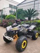 Bot Renegade 1500E. ��� ����� �� ������ ����