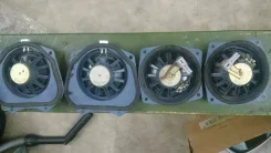 ����� ����