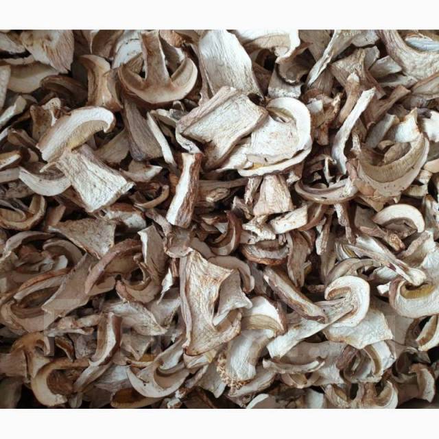 Белые грибы южного Приморья
