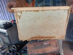 Продам мед в сотах. в Хабаровске Мед, медовые продукты.