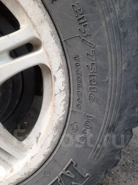 Silverstone MT-117. ����� mt, 2011 ���, �/�, ����� 40 %. ��� ����� �� ������� ����