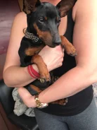 ������. ����