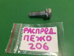 Болт распредвала Peugeot 206, 307, Partner KFW в Новосибирске Болт крепления распредвала. Peugeot Partner Peugeot 206