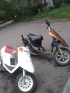 Yamaha Champ. 72����. ��., ��������, ��� ���, ������ �� �� ����