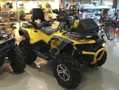 Stels ATV 850G Guepard Trophy. ��������, ���� ���\���, � �������� ����