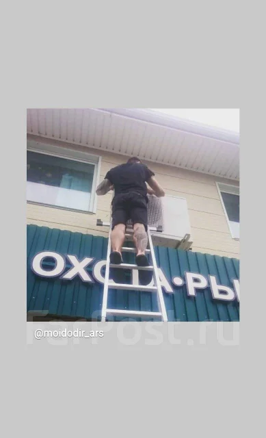 ������������ �������������. ����