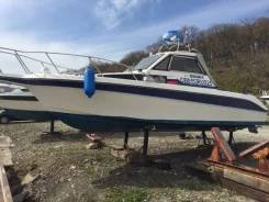 Yamaha FR-24. 1995 ���, ����� 7��., ��������� ���������, 150��.�., ������ ����