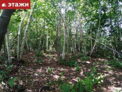 Участок 10 соток в районе Синей сопки во Владивостоке Участок 10 соток в районе Синей сопки. 1 000 кв. м., собственность. Фото участка