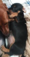 �����. ����