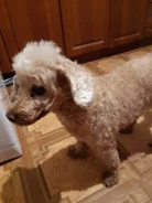 ������. ����