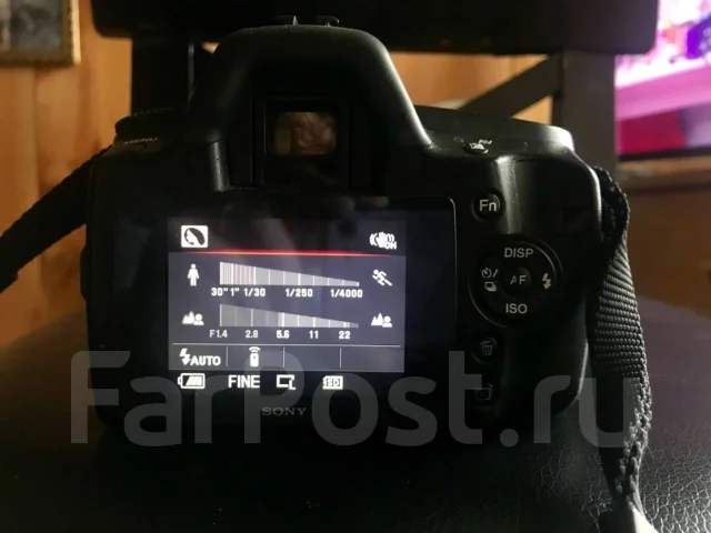 Sony Alpha DSLR-A290. 10 - 14.9 ��, ���: 3� ����