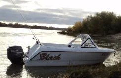 Blash. 2013 ���, ����� 4,6��., ��������� ���������, 80��.�., ������ ����