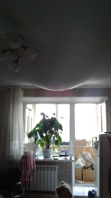 ���� ���� � �������� ��������. ����