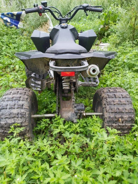 Bot GT 125. ��������, ��, �� ����