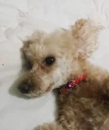 ������. ����
