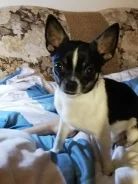 ����� �����. ����
