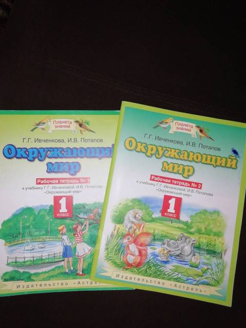 Ивченкова окружающий 4 тетрадь. Окружающий мир 1 класс рабочая тетрадь 1 часть Ивченкова Потапов. Окружающий мир 1 класс Планета знаний рабочая тетрадь. Окружающий мир 2 класс 2 часть Планета знаний Ивченкова Потапов. Ивченкова. Окружающий мир 1 класс. Рабочая тетрадь. Часть № 2.