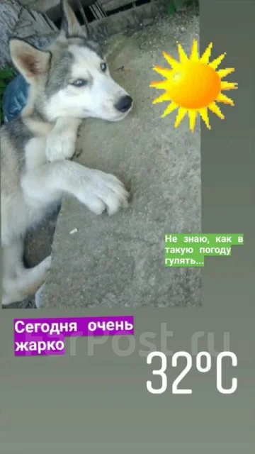 �����. ����