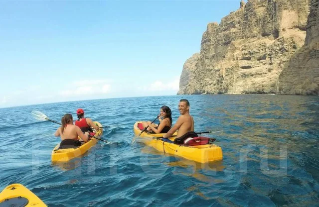 ���������� ���� Reef-2. 2026 ���, ����� 3,97��., ��������� ��� ��������� ����