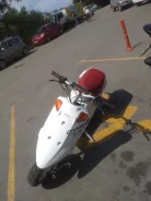 Yamaha Champ. 72����. ��., ��������, ��� ���, ������ �� �� ����
