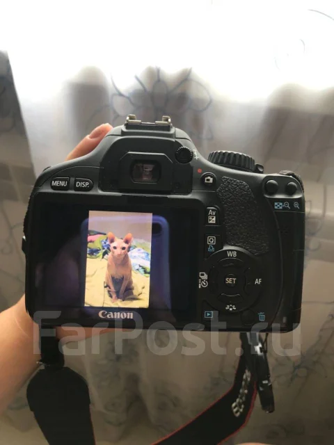 Canon EOS 500D ����