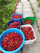 Продам дачу в Комсомольске-на-Амуре Продам дачу. Ул.Портовая, р-н Комсомольский, площадь дома 20 кв. м., электричество 2 кВт, от частного лица (собственник)