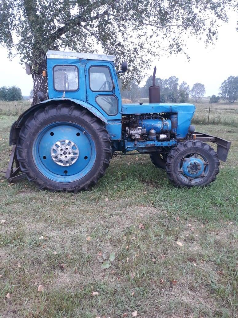 Трактор т 40ам красный. Т-40 (трактор). Т 40 ам б у. Лтз т-40ам. Трактор в чите.